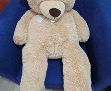 Big Brown Teddy Bear