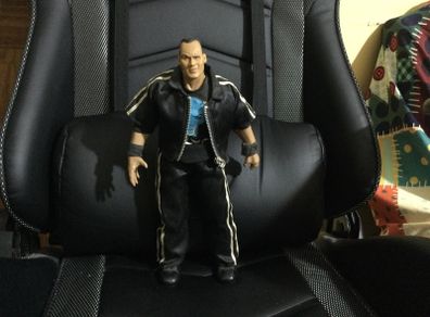 WWE Figures