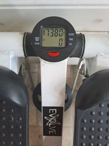 Mini Step machine Evolve