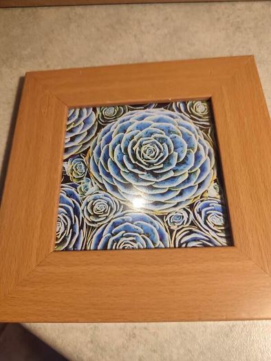 Lovely Small Framed Blue Flower Print.