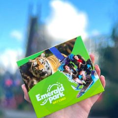 x4 All Access Tickets to Emerald Park