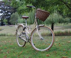 Popal Ladies Dutch Bike 28 Inch 3 Speed Basil Wicker Basket