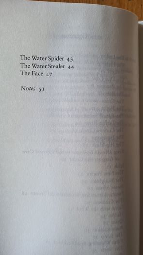 The Water Stealer. By Maurice Riordan. Hardback With Dustjacket In Very Good Condition.