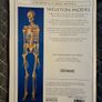 Vintage Make Life-Size Skeleton Book Image 2