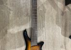 5 String Electric Bass