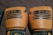 Fairtex BGV-21(Brand New)