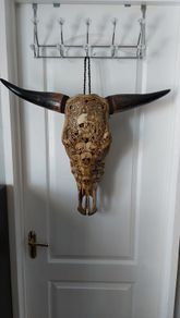 Carved Brown Bull Skull