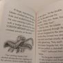 Little Dolphin Books By Lucy Daniels, Image 9