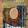 College Textbooks Image 2
