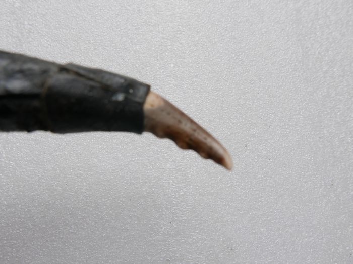 Vintage European Victory Pure Steel Knife Dagger Sword Antique