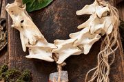 Deer Vertebrae &amp; Clear Quartz Wall Talisman