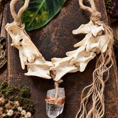 Deer Vertebrae & Clear Quartz Wall Talisman