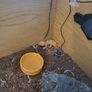geko Image 5