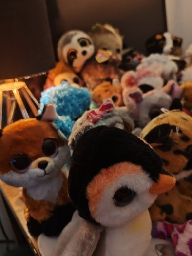 TY Teddy's