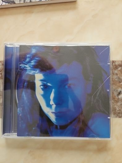 Bjork 2CD Lot