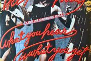 Ike &amp; Tina Turner What You Hear Is What You Get (Live At Carnegie Hall XLPS