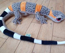 Lizard Teddy