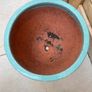 Ceramic glazed terracotta pot Image 3