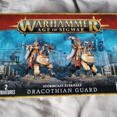 Games Workshop Warhammer AoS Dracothian Guard Age of Sigmar Stormcast Eternals