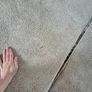 rug Image 6