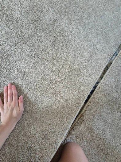rug