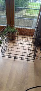 Dog crate/ puppy crate
