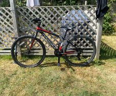 bikes