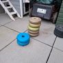 weights and bench Image 2