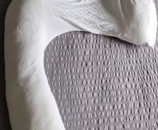 Dreamgenii Pregnancy Pillow, Excellent Condition