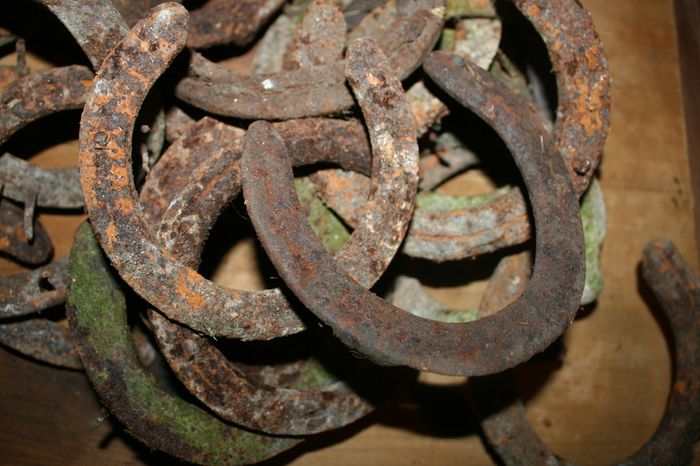 Vintage Horseshoe 10 each