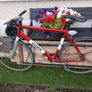 fixie giant Image 3
