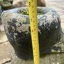 planter Image 3