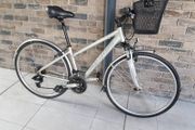 ladies carrera hybrid( can deliver)