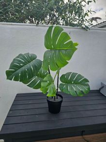 IKEA fake plant