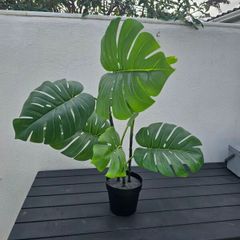 IKEA fake plant