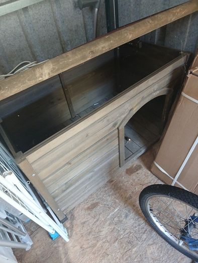 dog box