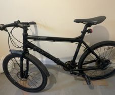 Carrera hybrid bike