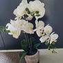 Artifical plant Orchid Image 4
