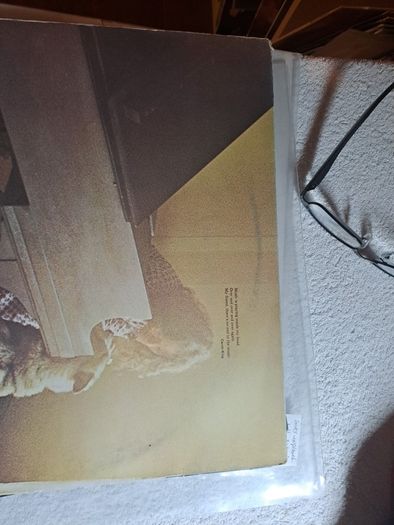 Vinyl.Carole King Music.