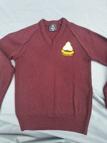 St Wolstans Community School Jumper Size 31/32