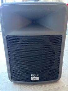 peavey Pr12 passive speaker