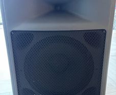 peavey Pr12 passive speaker
