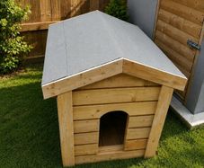 dog kennel