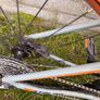GIANT Talon 29er Medium Image 4
