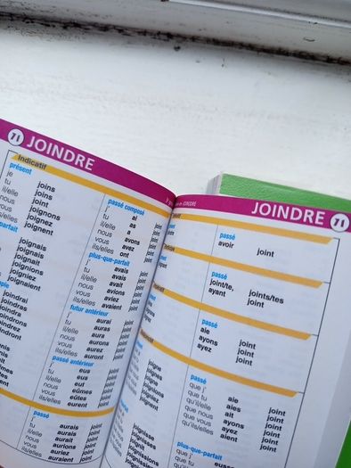 French Italian mini Grammar Verbs Basic Phrases Books
