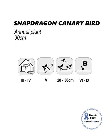 (S) Snapdragon Canary Bird Seeds 0.2g (413553)
