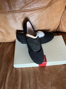 ballet shoes