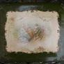 Antique Victorian Grecian Maiden  Green Roses Floral  Celluloid Photo Album Image 2