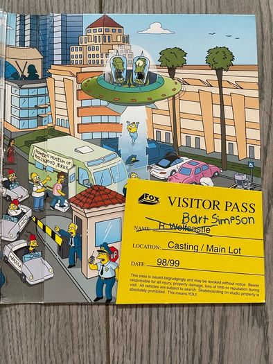 The Simpsons complete tenth season dvd boxset