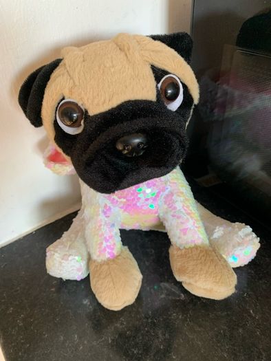 Pug in a hoody cuddly bear